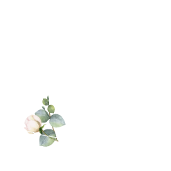 Ava-Foodtruck